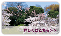 小石川マンション情報